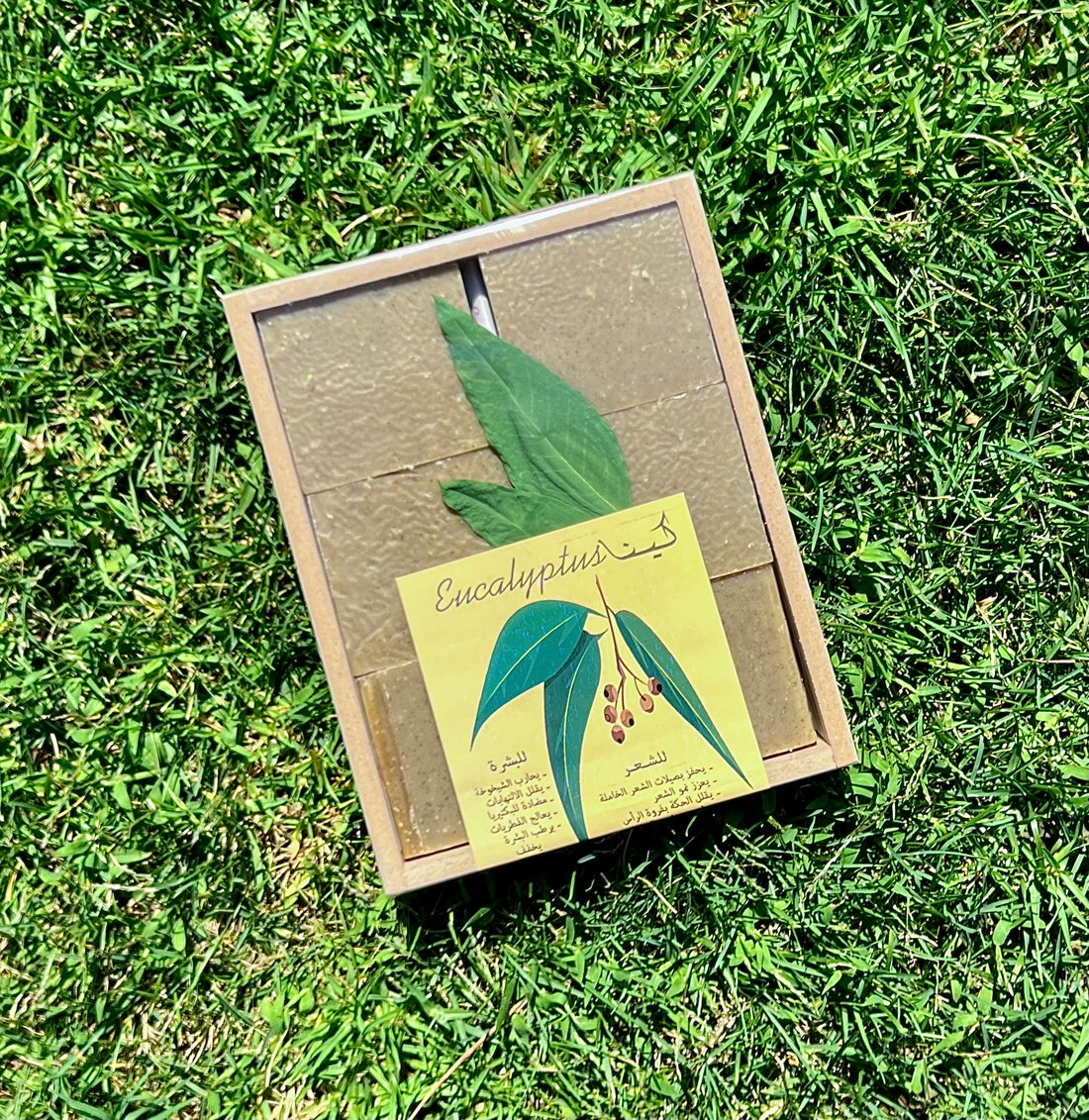 Eucalyptus Soap Box