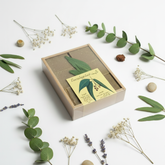 Eucalyptus Soap with Herbs