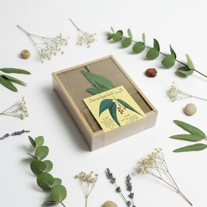 Eucalyptus Soap with Herbs