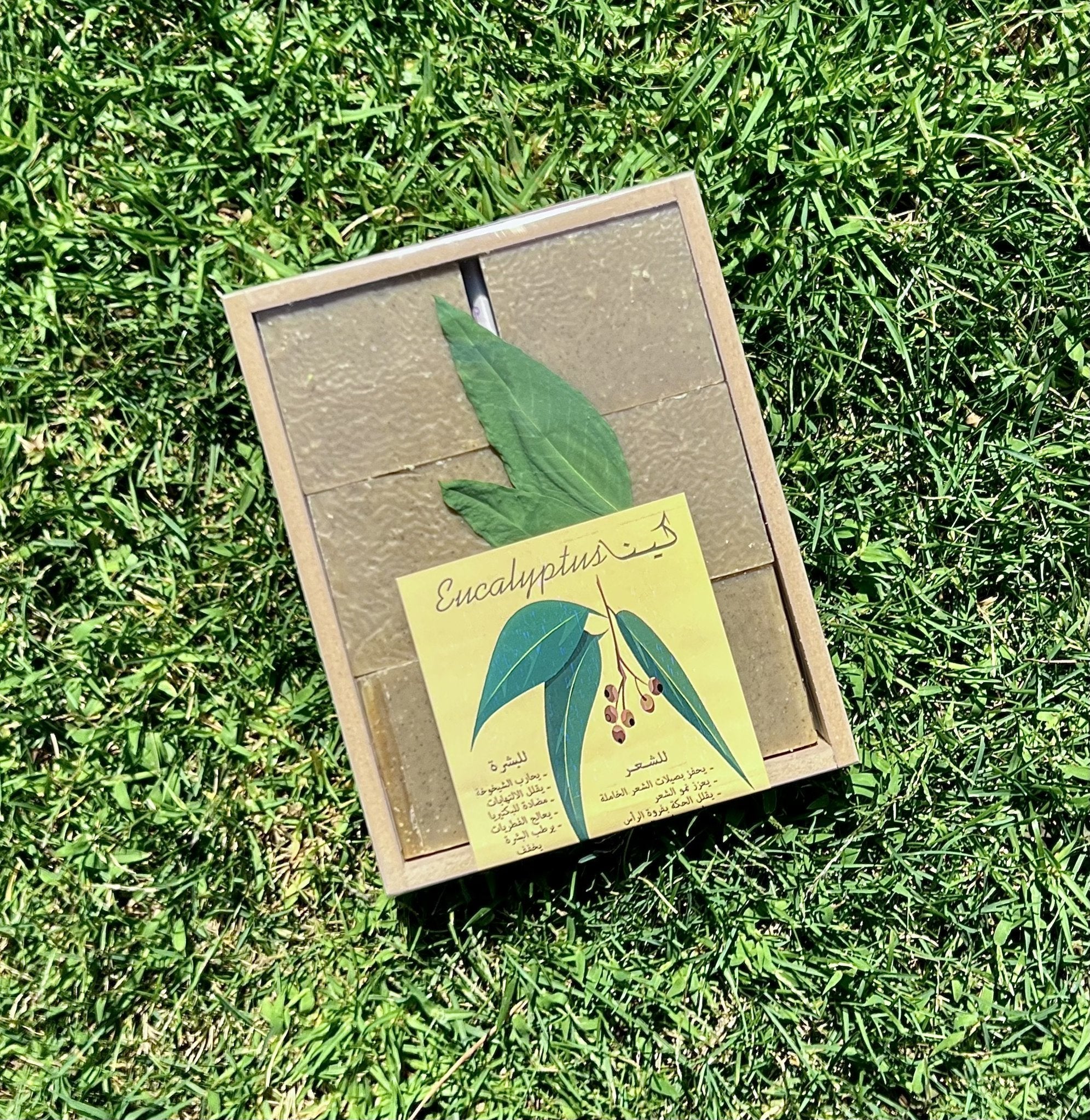 Eucalyptus Soap Box Gift Set Face Body Hair